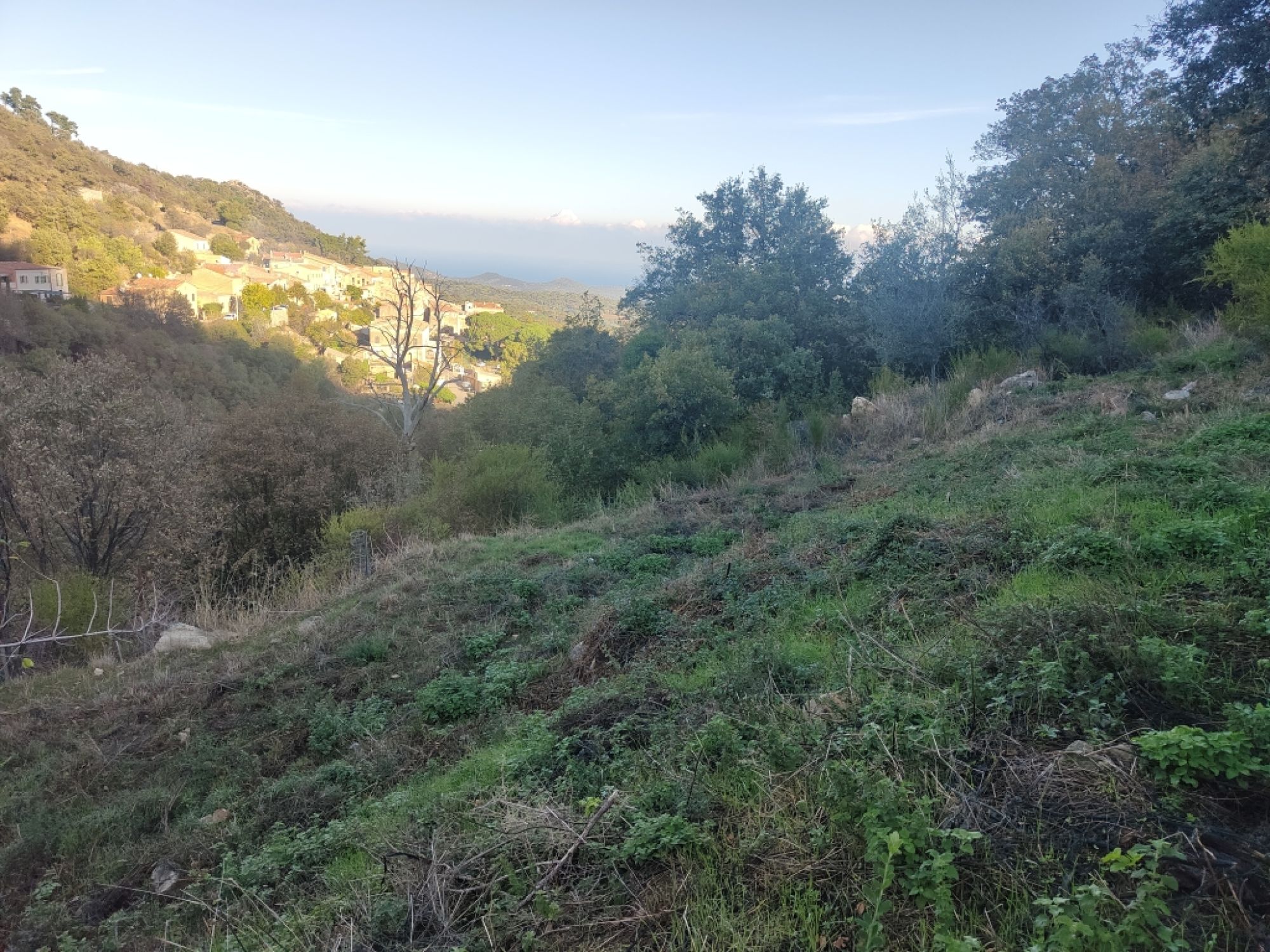 Terrain constructible à Ville di Paraso