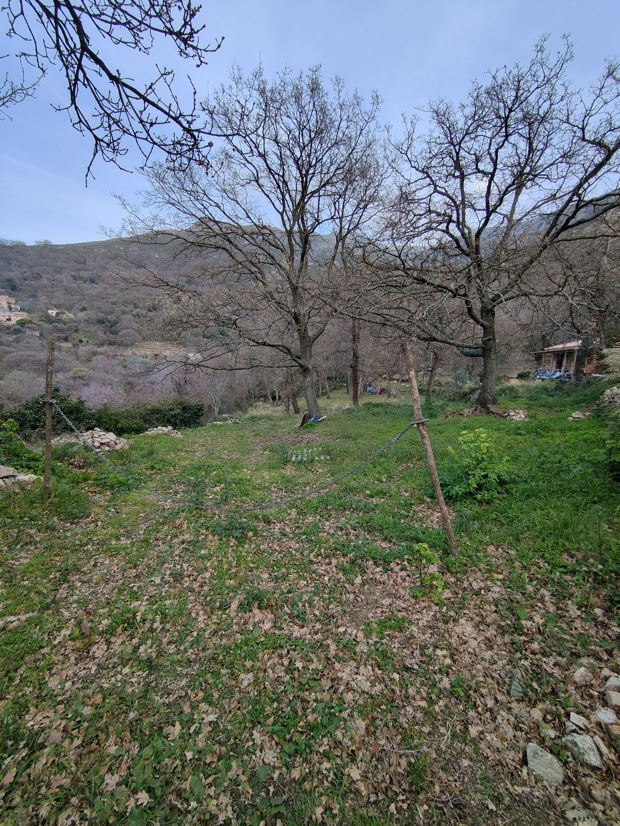 Terrain plat constructible