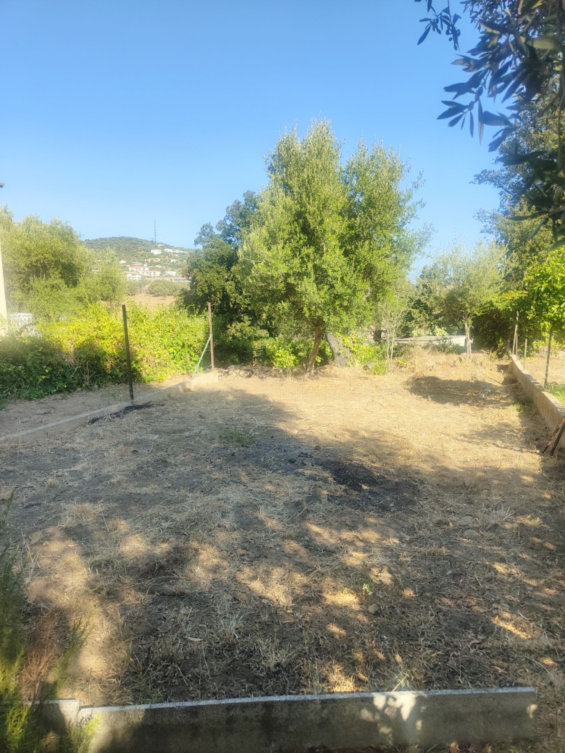 Terrain constructible Ile Rousse
