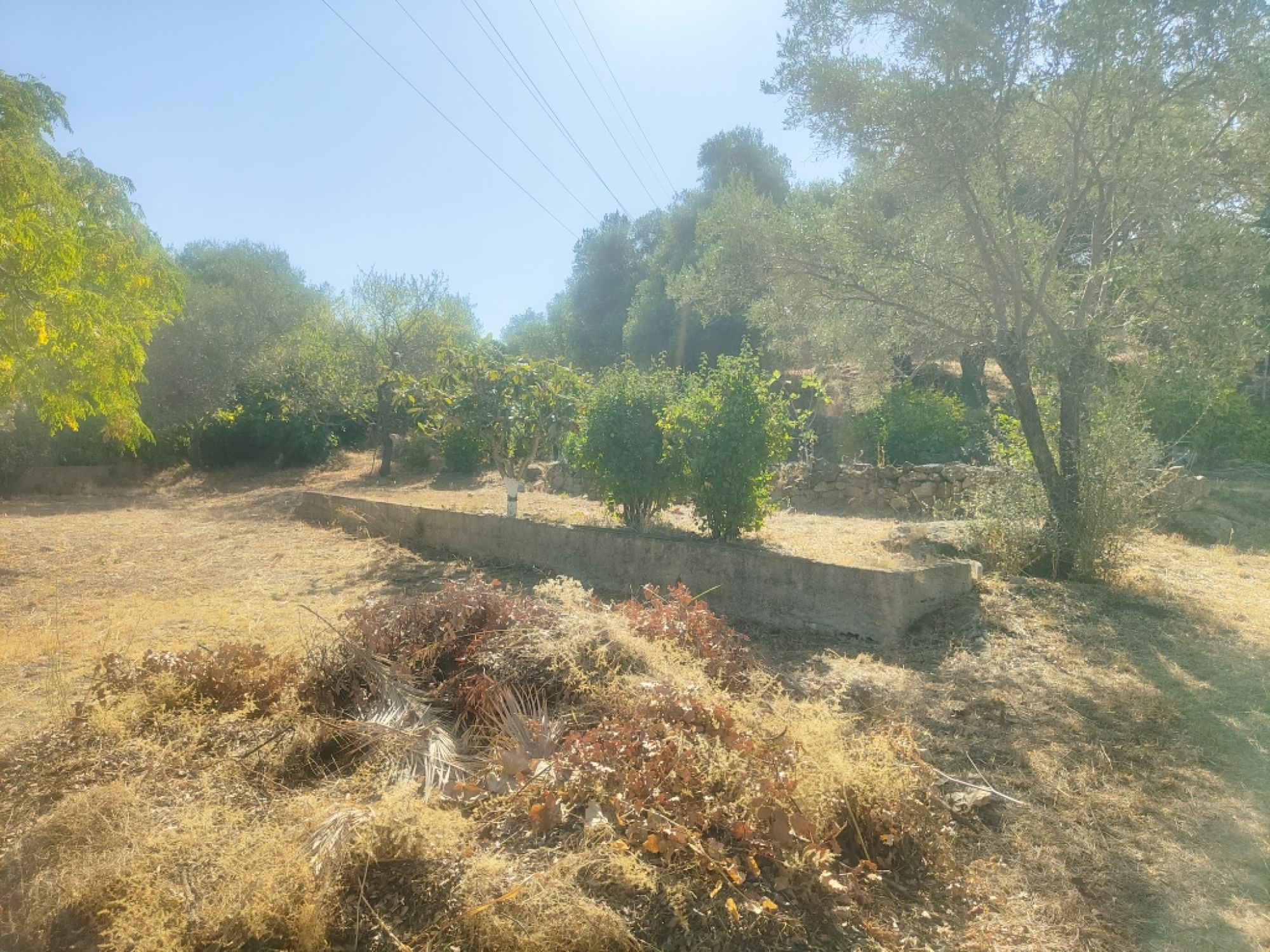 Terrain constructible à Ile Rousse